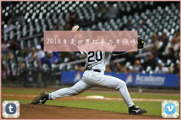2018年是世界杯举办年份吗