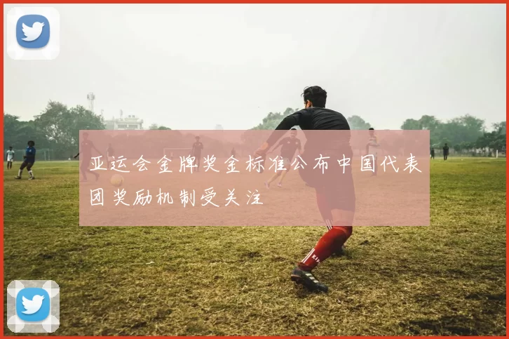 亚运会金牌奖金标准公布中国代表团奖励机制受关注