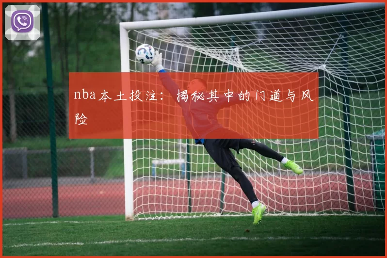 nba本土投注：揭秘其中的门道与风险