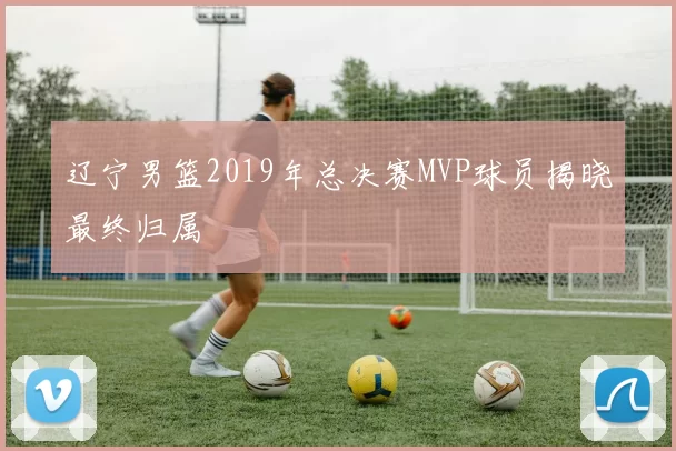 辽宁男篮2019年总决赛MVP球员揭晓最终归属